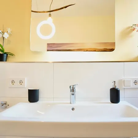 Exklusives Rhein-lounge Mit Direktem Rheinblick, Sauna, 2 Schlafzimmern, Parkplatz Fuer Bis Zu 5 Gaeste * Urmitz