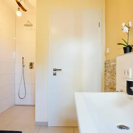 Appartamento Exklusives Rhein-lounge Mit Direktem Rheinblick, Sauna, 2 Schlafzimmern, Parkplatz Fuer Bis Zu 5 Gaeste