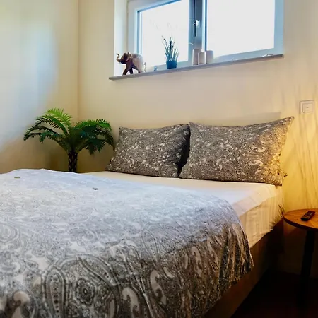 Exklusives Rhein-lounge Mit Direktem Rheinblick, Sauna, 2 Schlafzimmern, Parkplatz Fuer Bis Zu 5 Gaeste * Urmitz