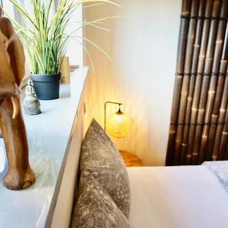 Exklusives Rhein-lounge Mit Direktem Rheinblick, Sauna, 2 Schlafzimmern, Parkplatz Fuer Bis Zu 5 Gaeste *